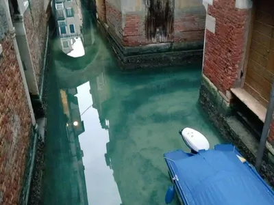 Из-за карантина в каналах Венеции вода стала чистой - РИА Новости,  18.03.2020