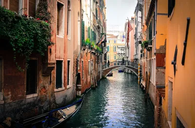 Зачем Венецию построили на воде? | Италомания | Дзен