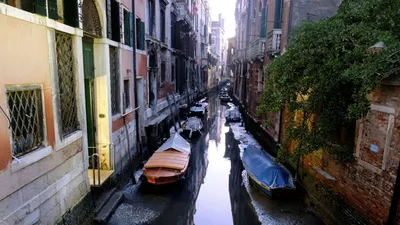 В Венеции пересохли каналы | Европейская правда