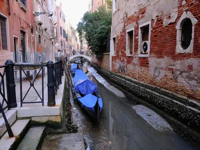 В Венеции из-за отливов сильно упал уровень воды - РИА Новости, 01.03.2021