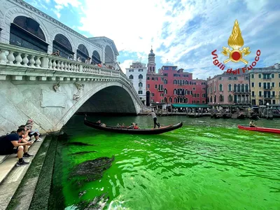 Вода в Гранд-канале в Венеции по неизвестным причинам стала зеленой (фото)