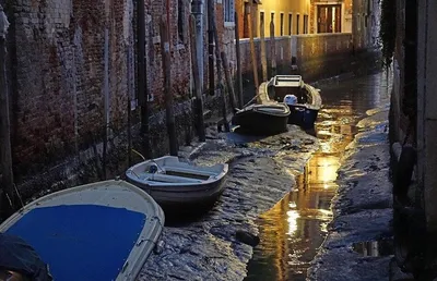 Как в Венеции строили дома в воде | Географическое открытие | Дзен