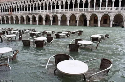 Венеция ушла под воду: люди купаются на площади Сан-Марко. ФОТОрепортаж «  Фото | Мобильная версия | Цензор.НЕТ