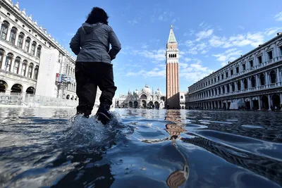 80% Венеции под водой, масштаб ущерба колоссальный»: 20 миллионов евро  выделило итальянское правительство в помощь пострадавшему городу - KP.RU