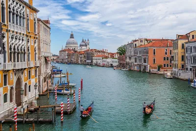 В Венеции неизвестные окрасили воду в Большом канале в ярко-зеленый цвет |  Экология | Общество | Аргументы и Факты