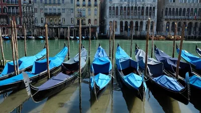В Венеции площадь Святого Марка открыли для туристов, но вода держится  высоко (фото, видео) | УНИАН