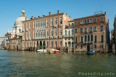 Этот город на дне: Венеция ушла под воду | Фотогалереи | Известия