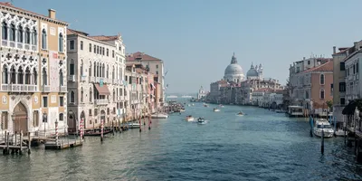 Фото дня: Из-за карантина вода в каналах Венеции стала прозрачной