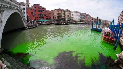 В Венеции внезапно позеленела вода в Большом канале - власти начали  расследование - Закордон