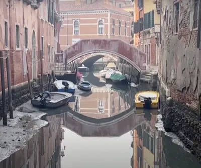 Венеция снова ушла под воду (фото)