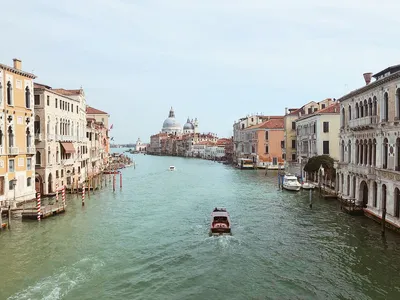 Вода Большого канала в Венеции окрасилась в ярко-зелёный цвет, 30 мая  14:19, Венеция, Италия — Туристер.Ру