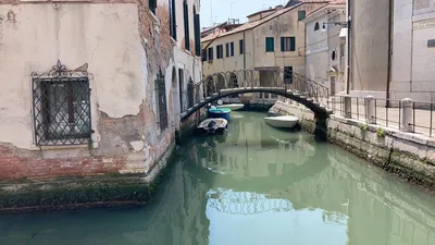 Венеция сейчас - YouTube