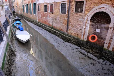 В Венеции из-за отливов пересохли знаменитые каналы - Российская газета