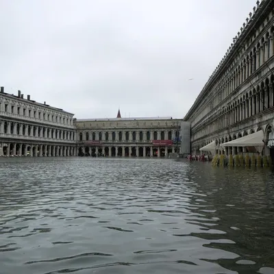 Почему пересохли каналы в Венеции?