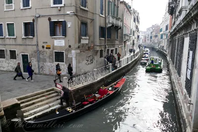 Венеция введёт новые ограничения для туристов