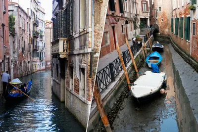 Город на ладони: Венеция
