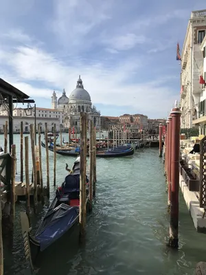 Венеция в феврале фото