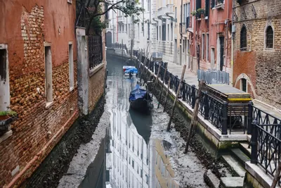 Venice's dry canals: what travelers need to know - Lonely Planet