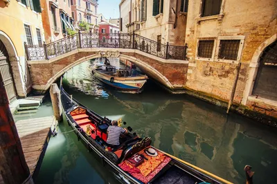 Things to do in Venice | Gray Line World Wide