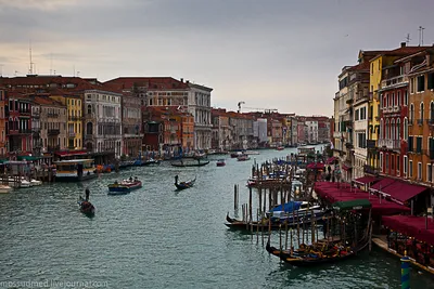 Венеция в январе - 3