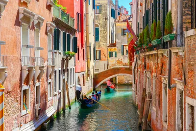 Венеция — от площади Сан-Марко до моста Риальто 🧭 цена экскурсии €100, 26  отзывов, расписание экскурсий в Венеции