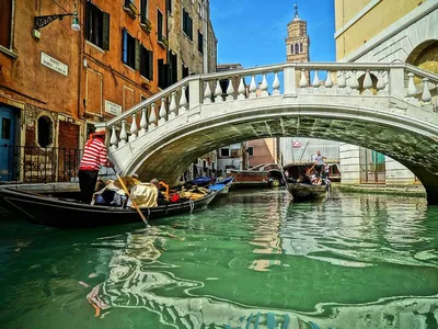 Венеция - знаменитые каналы Венеции пересохли - фоторепортаж — УНИАН