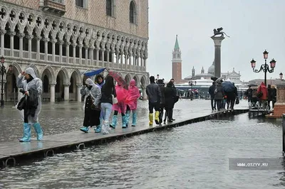 Ночная Венеция: пешком и по воде в компании коренного венецианца © цена и  отзывы 2024 года • Travel Mania