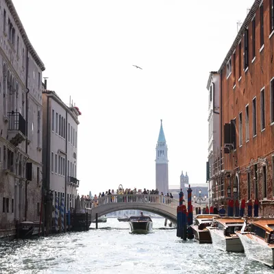 11 Top Attractions and Things to Do in Venice, Italy