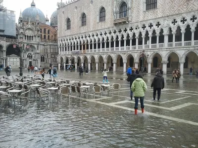 Погода в Венеции (Италия) в ноябре 2024 года, отзывы туристов и прогноз  погоды на основе статистики