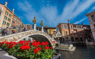 Photos of Venice Underwater: The Highest Tide in 50 Years - The Atlantic