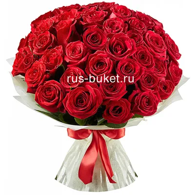 Луковицы Ирисов - купить осенние луковичные цветы в интернет-магазине с  доставкой почтой