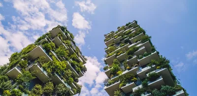 Bosco Verticale. Растения наше всё | by Stanislav Sumariuk | Medium