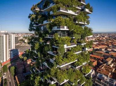 Самые красивые дома: Вертикальный лес в Милане - деревья на фасаде дома