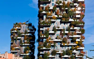 Достопримечательностью Милана стал вертикальный лес на двух высотных  зданиях - City Farmer