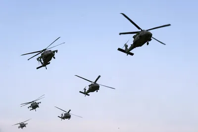 Литва закупит у США боевые вертолеты Black Hawk – DW – 10.11.2020