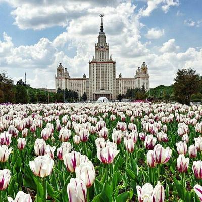 Купить картину Москва весенняя в Москве от художника Выржиковский Эдвард