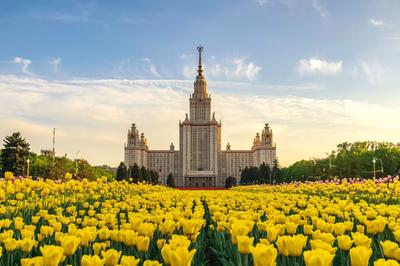 Куда сходить в Москве весной