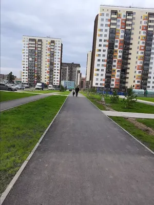 Грязная весна в Новосибирске: 10 ужасающих фото улиц и дворов города -  sib.fm