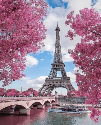 Купить фреску Париж «Вид на весенний Париж»