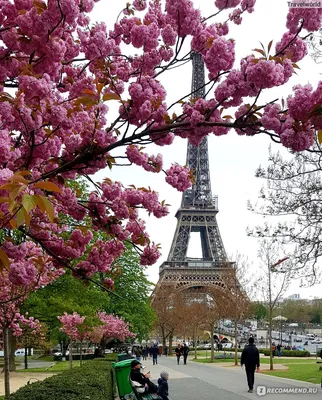 Весна! Париж — Фото №83826