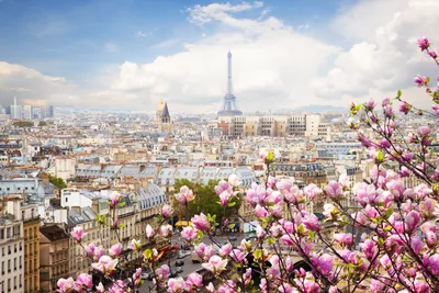 Париж Весной — стоковые фотографии и другие картинки Париж - Франция - Париж  - Франция, Весна, Франция - iStock