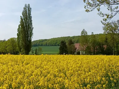 Весна в Германии фото фотографии
