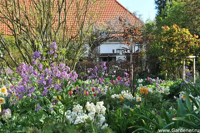 Весна в Эммендингене (Германия): городской сад