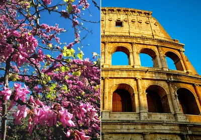 Обои на телефон: Италия, Весна, Ландшафт, Фотографии, Тоскана, 980715  скачать картинку бесплатно.