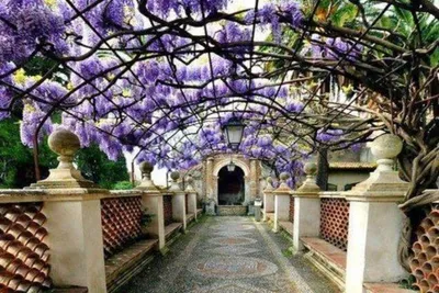 Весна в Италии | сайт из Италии