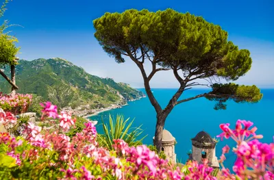 Картинки альп Италия Lombardia гора Природа весенние цветок Крокусы