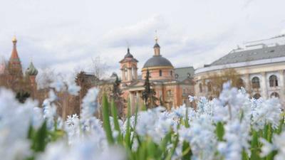 Метеоролог Позднякова рассказала, когда в Москве наступит настоящая весна
