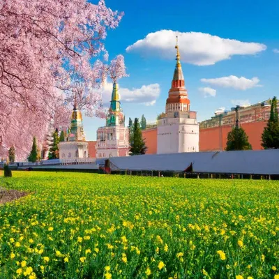Весна в Москве | Instagram