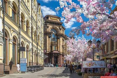 Весна в Москве | РИА Новости Медиабанк