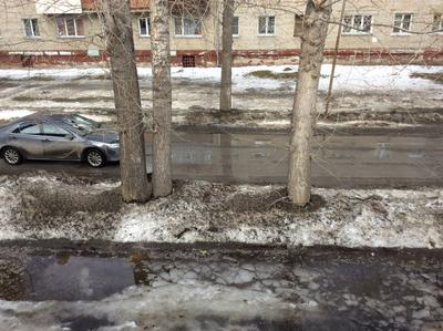 Весна в новосибирске, распускаются …» — создано в Шедевруме